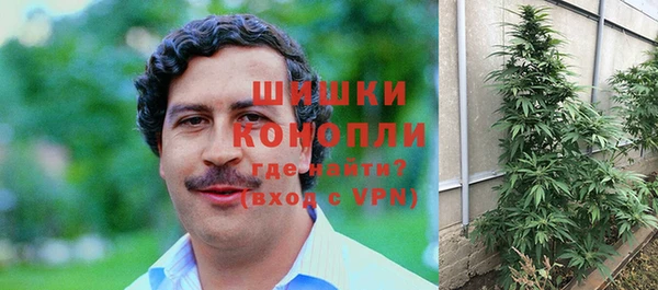 таблы Бородино