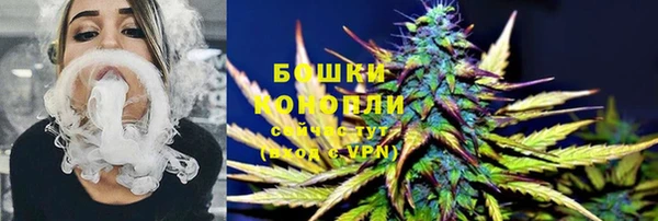 таблы Бородино