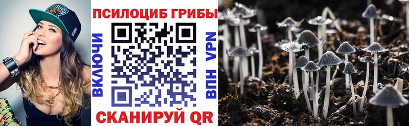 Псилоцибиновые грибы Cubensis  Купить закладки  Лихославль 